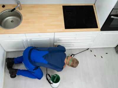 Porast &scaron;čurkov krati spanec prebivalcem ljubljanskih blokov in sosesk