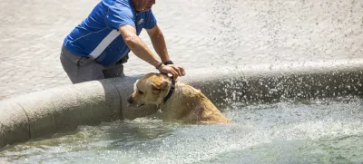 Ljubljana.Vrocinski val, vrocina, hlajenje.