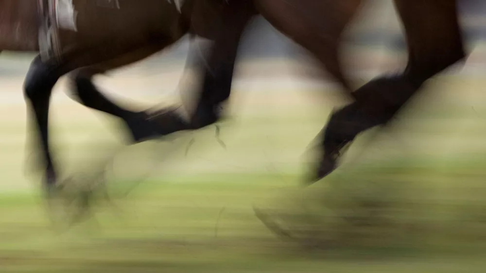 Spolni napad trenerja jahanja: Življenje žrtev je &ldquo;na čakanju&rdquo;