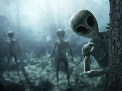 Mi i&scaron;čemo njih in morda tudi oni i&scaron;čejo nas. / Foto: Istock