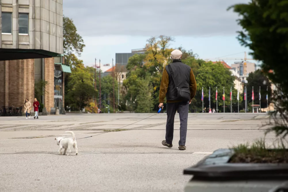 Pokojninska reforma prina&scaron;a novo pravico &ndash; poleg letnega tudi vsakoletni zimski dodatek. (Foto: UKOM)