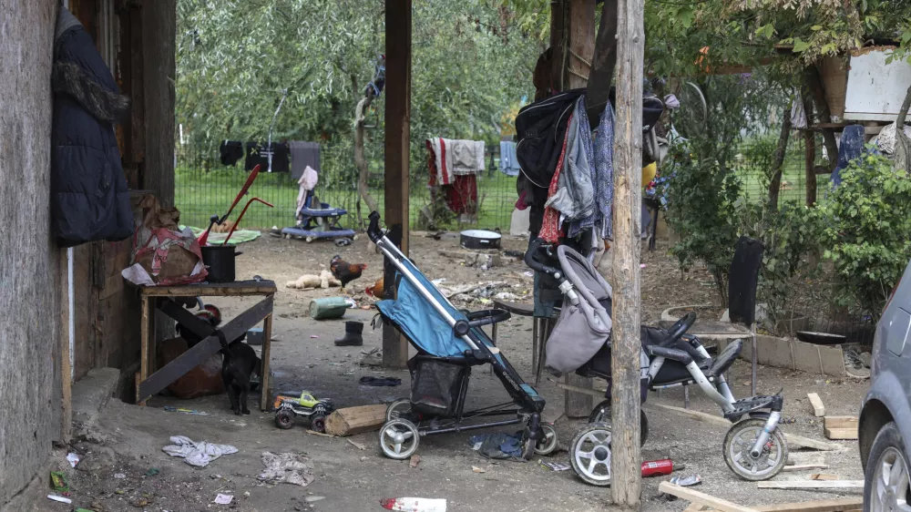 Novi zakoni usmerjeni v integracijo in izobraževanje