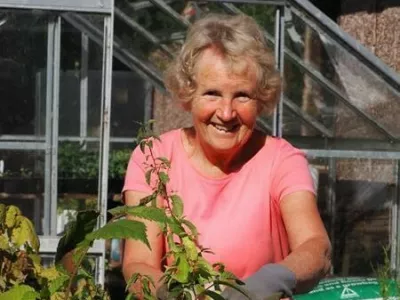 sfjhlwi  difun 8 / Foto: Sdf