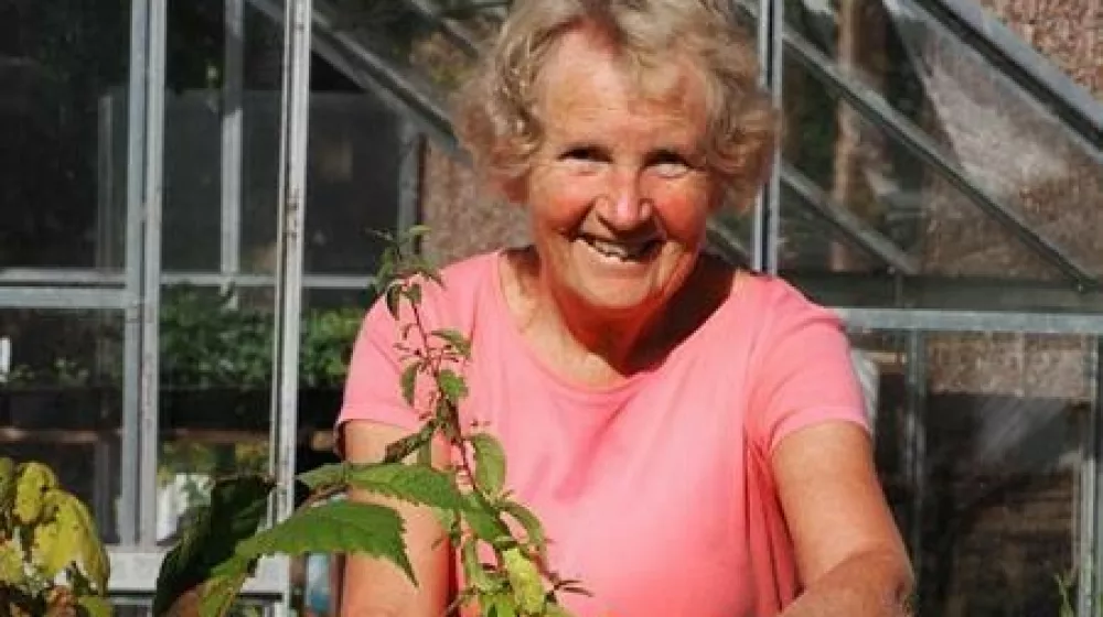 sfjhlwi  difun 8 / Foto: Sdf