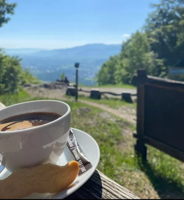 Koča na Planini nad Vrhniko: Gozdni razgled z domačimi &scaron;truklji