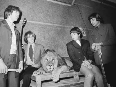 The Troggs so Wild Thing posneli v vsega desetih studijskih minutah. Iz prve. Konec aprila 1966 je skladba iz&scaron;la v Angliji, maja tudi v ZDA, kjer se je na lestvico uvrstila 25. junija, 30 julija pa postala &scaron;tevilka ena. F Getty Images