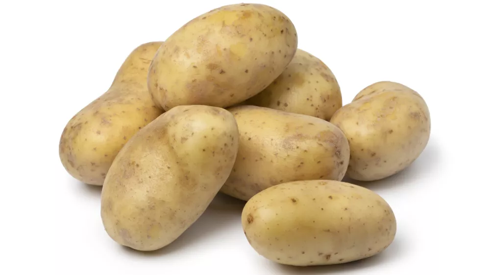 Krompir vrste Lavante