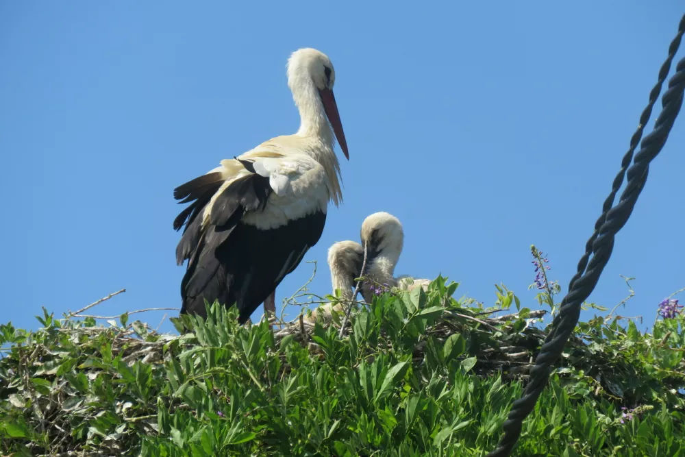 Foto: Ur&scaron;a Očko