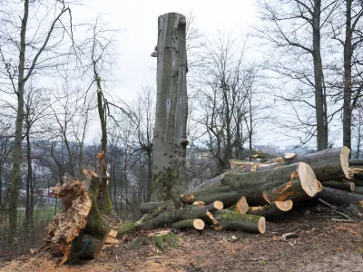 - 27.02.2024 &ndash; Krajinski park Tivoli &ndash; sečnja oslabljenih in bolnih dreves na območju Podrožni&scaron;ke poti v Krajinskem parku Tivoli, Rožnik in &Scaron;i&scaron;enski hrib //FOTO: Nik Erik Neubauer