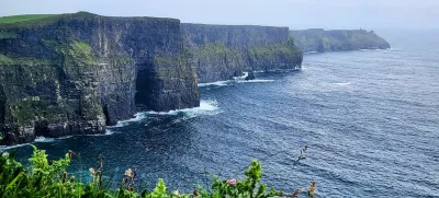 June 26, 2024: The Cliffs of Moher in County Clare, Ireland, in June 2024.,Image: 968455440, License: Rights-managed, Restrictions:, Model Release: no