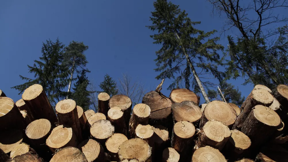 Alarmantno stanje v lesnopredelovalni panogi