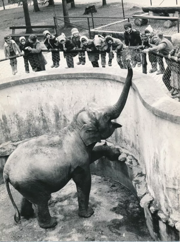 Ganga v mlaj&scaron;ih letih