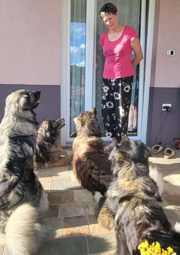 Kra&scaron;ki ovčar, Damjana in Davorin Lisjak, Miliruj / Foto: Katja Gle&scaron;čič 