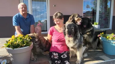 Kra&scaron;ki ovčar, Damjana in Davorin Lisjak, Miliruj / Foto: Katja Gle&scaron;čič 