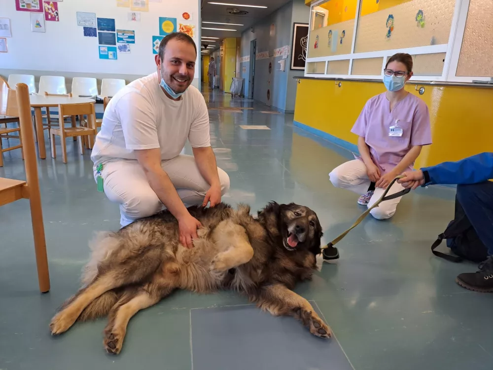 kra&scaron;ki ovčar pediatrični oddelek Splo&scaron;ne bolni&scaron;nice Franca Derganca &Scaron;empeter pri Gorici / Foto: Arhiv Splo&scaron;ne Bolni&scaron;nice Franca Derganca &Scaron;empeter
