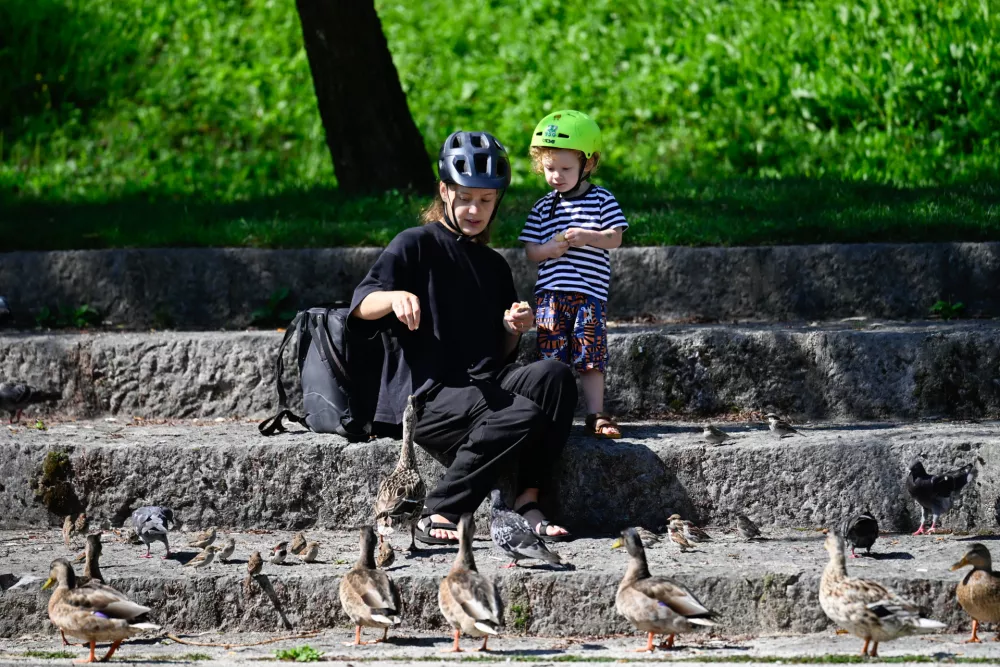 (FOTO) Pogled na Ljubljano z Ljubljanice