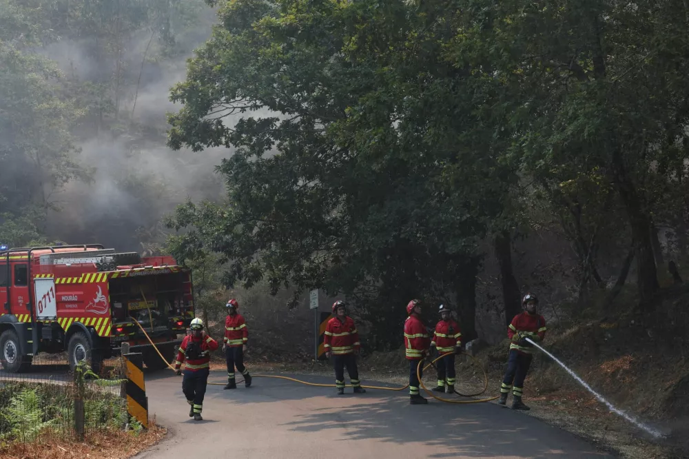 Firefighters work to put out flare-ups in the aftermath of a wildfire in Pereira, Cinfaes municipality, Portugal, July 31, 2025. REUTERS/Violeta Santos Moura