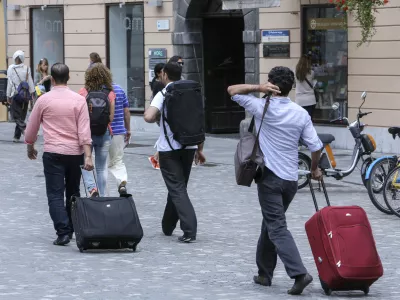 Strah pred piki komarjev: Bosta denga in čikungunja dosegli tudi Slovenijo?