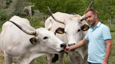 Martin Perič: Cena bo&scaron;karina je vsaj trideset odstotkov vi&scaron;ja od cene navadne govedine. F Jaka Jera&scaron;a