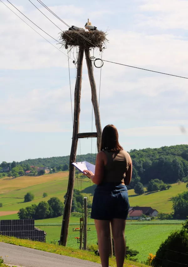 popis &scaron;torkelj 2025, Kranj / Foto: Ur&scaron;a Očko