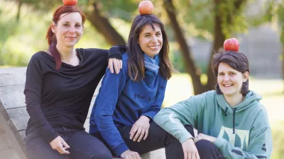 Česen zdravi prehlad. Pa ga res? Koliko je resnice v starih modrostih?