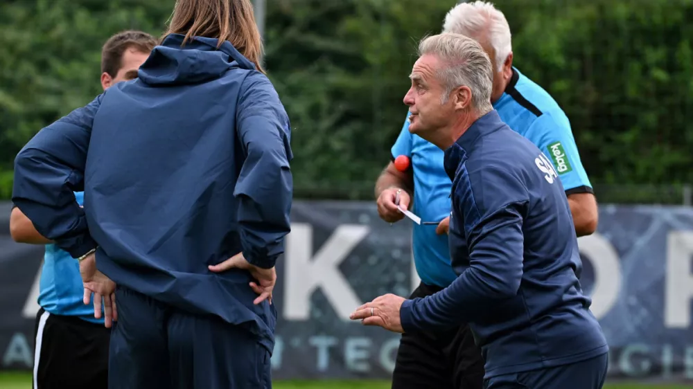 &Scaron;kandal v Avstriji: &ldquo;Jugo, spiz... čez Karavanke &ndash; tega je res veliko&rdquo;