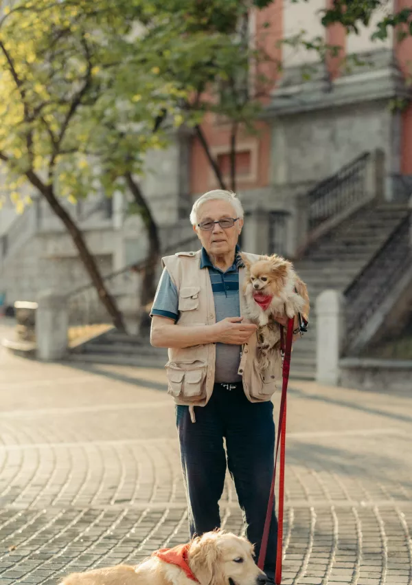  f fd / Foto: Fdvc Fd