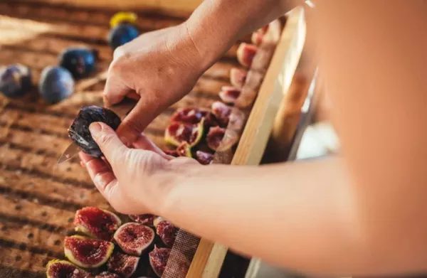 Na Kmetiji Marima večino pridelanega sadja posu&scaron;ijo v ekolo&scaron;ki leseni su&scaron;ilnici. F visitkoper