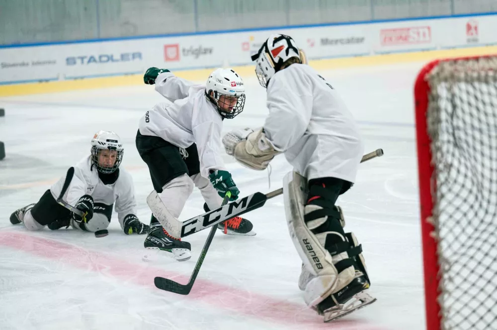 kamp hk olimpija / Foto: Hk Olimpija