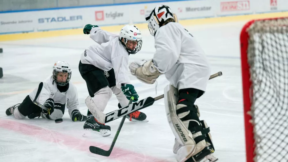 kamp hk olimpija / Foto: Hk Olimpija