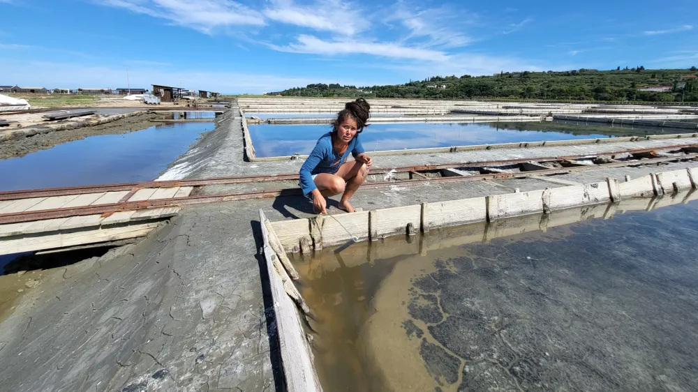 Sečovlje soline, dr. Maja Bjelica / Foto: Katja Gle&scaron;čič 