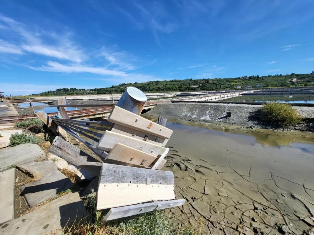 Sečovlje soline, dr. Maja Bjelica / Foto: Katja Gle&scaron;čič 