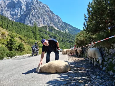 Sini&scaron;a Germov&scaron;ek na Vr&scaron;iču / Foto: Katja Petrovec