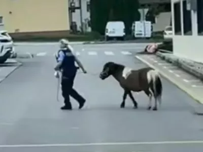Policistka in poni na sprehodu. 