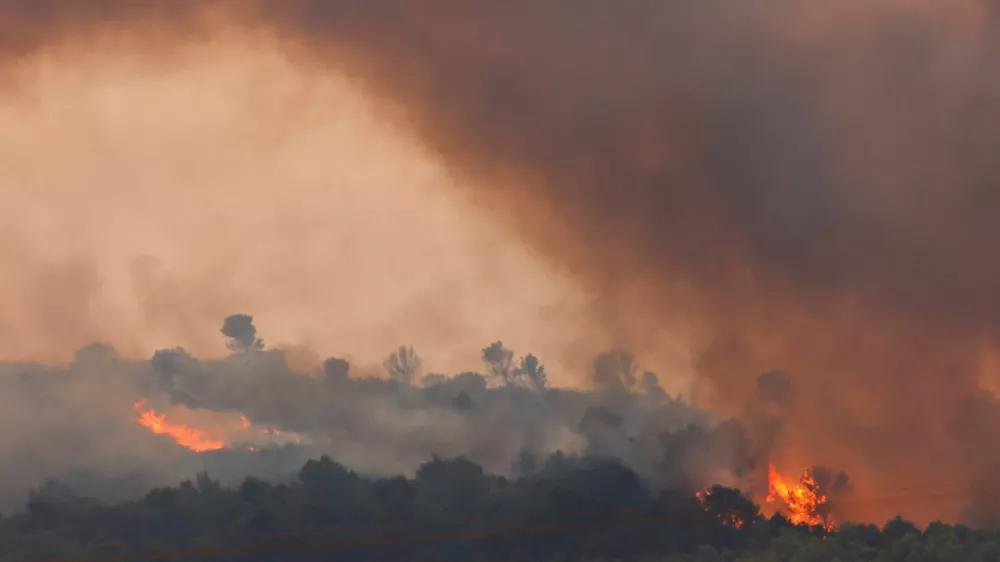 Trees burn during a wildfire at sunrise near Saint-Laurent-de-la-Cabrerisse, near Narbonne, southern France, August 6, 2025. REUTERS/Manon Cruz REFILE - QUALITY REPEAT