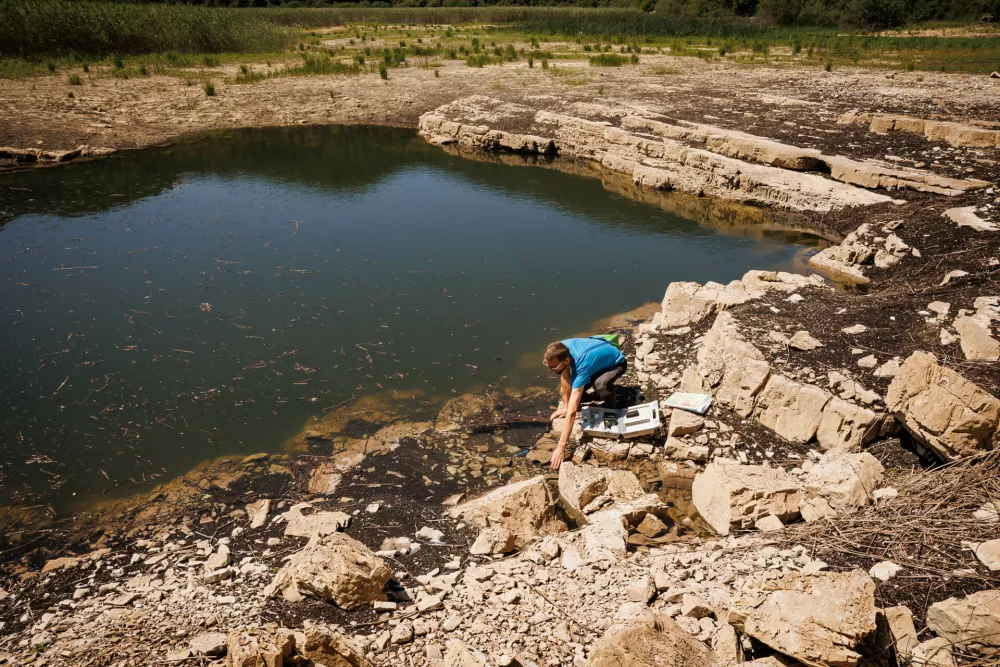 Podnebje in človek spreminjata ekosistem Cerkni&scaron;kega polja
