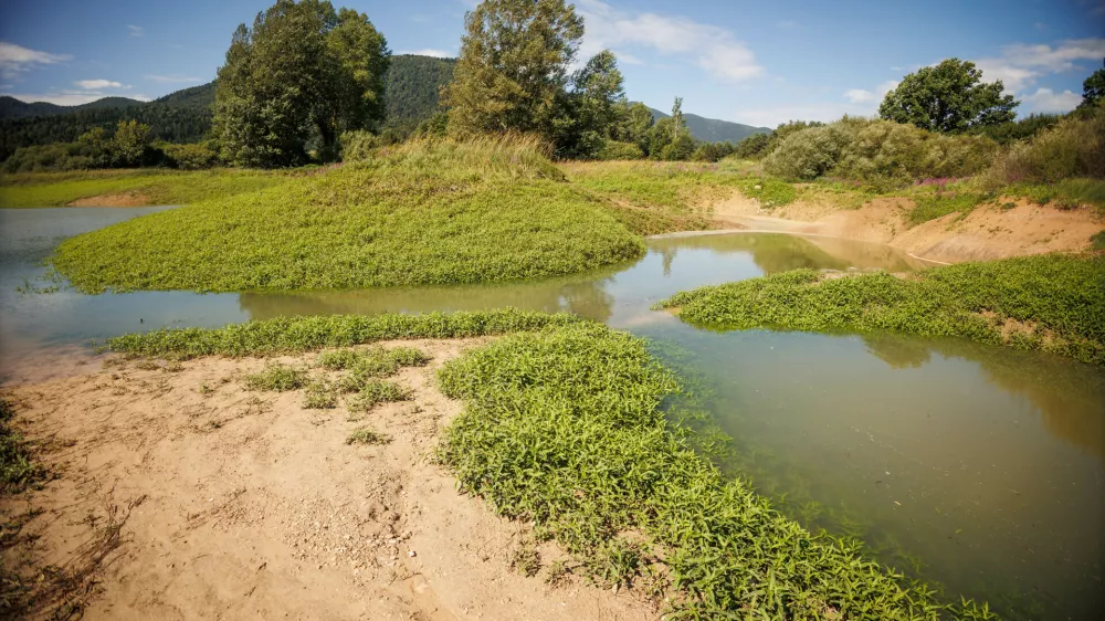 Podnebje in človek spreminjata ekosistem Cerkni&scaron;kega polja