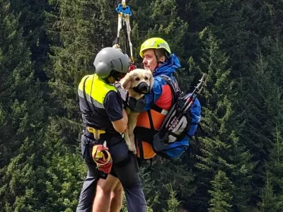 Re&scaron;evanje zlate prina&scaron;alke Nale. Foto: deželna policija Predarlske