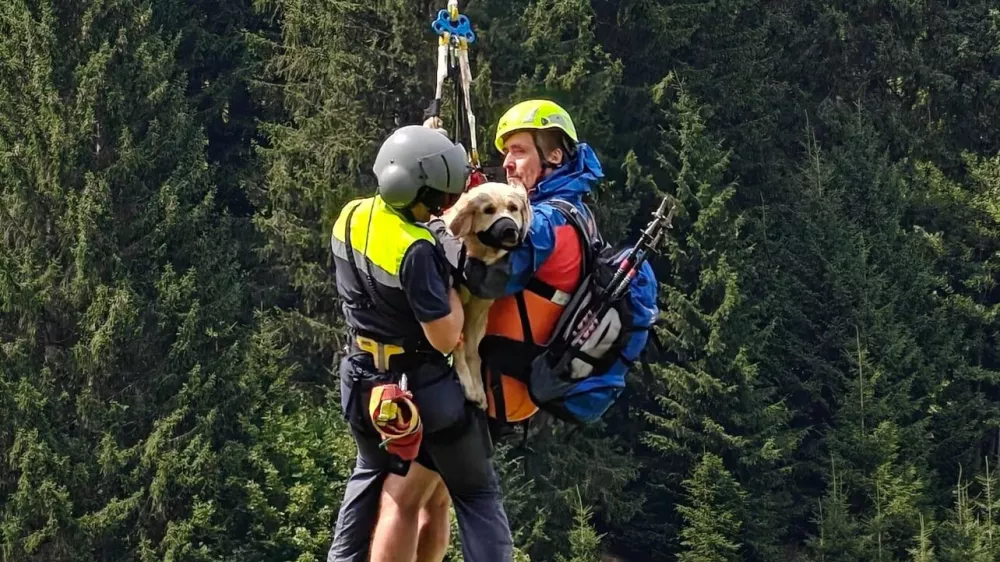 Re&scaron;evanje zlate prina&scaron;alke Nale. Foto: deželna policija Predarlske