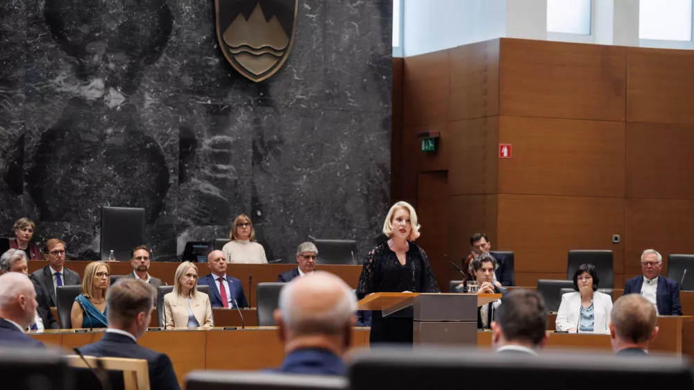 Po enem letu od fiaska v DZ na mizi &scaron;e ni sprememb