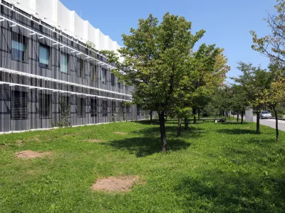 Posu&scaron;ile so se slavne japonske če&scaron;nje ob Večni poti