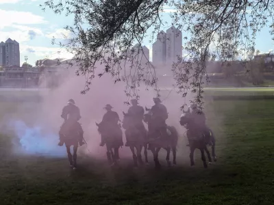 Za&scaron;čita živali: Pri usposabljanju nevladnikov vlada kaos