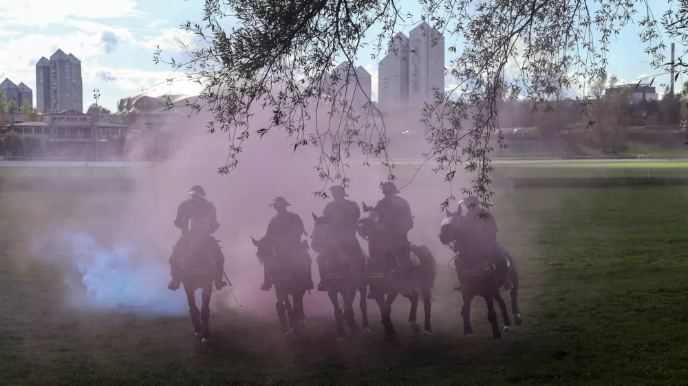 Za&scaron;čita živali: Pri usposabljanju nevladnikov vlada kaos