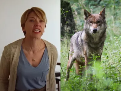 Scarlett Johansson volk