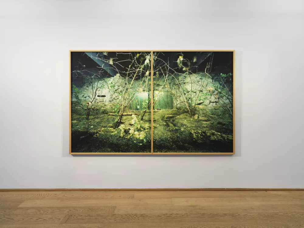 Preučevanje fotografije je lahko potovanje navznoter