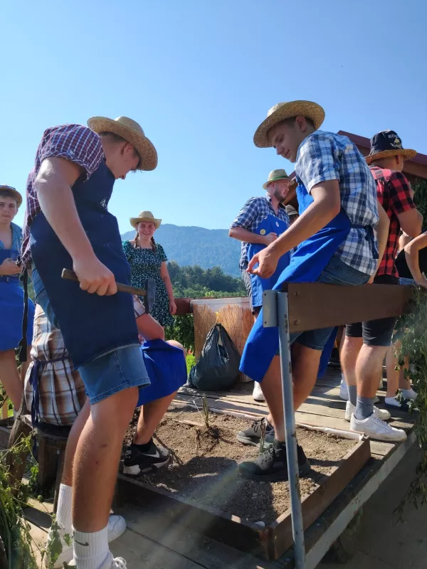 Hmeljarji letos pričakujejo podpovprečno letino