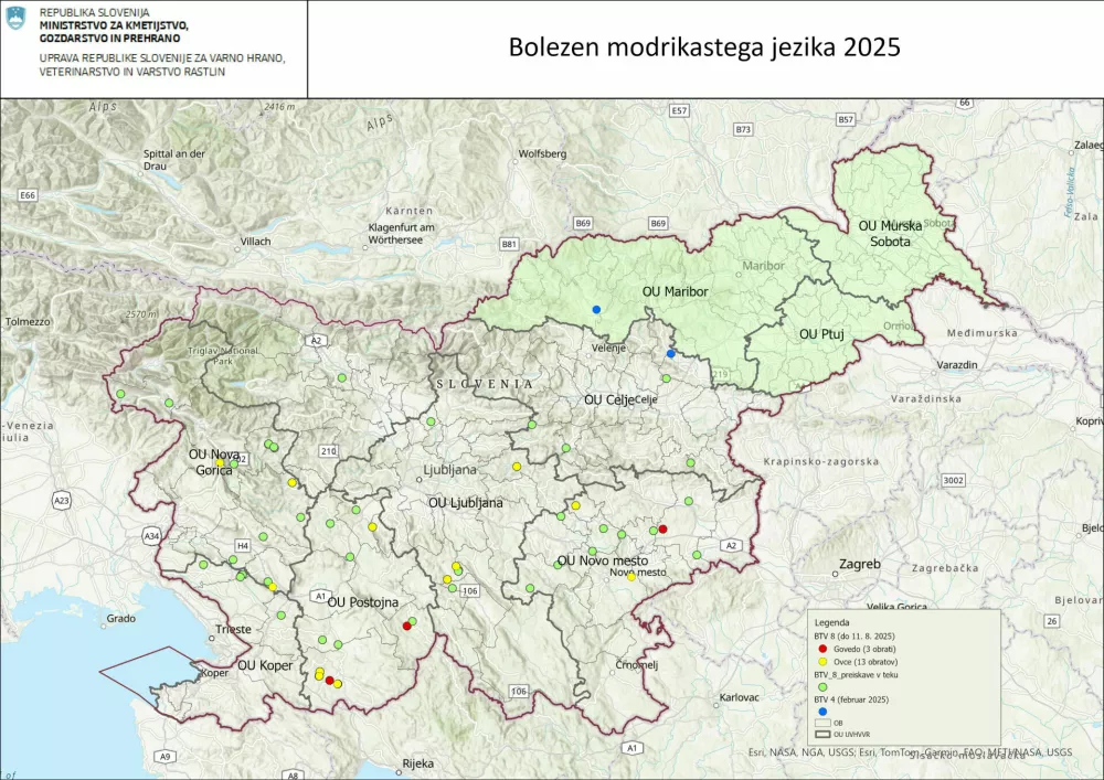 Bolezen modrikastega jezika - raz&scaron;irjenost v 2025. F UVHVVR 