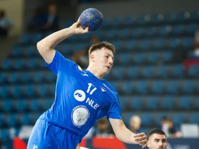 Alju&scaron; Anžič, rokomet