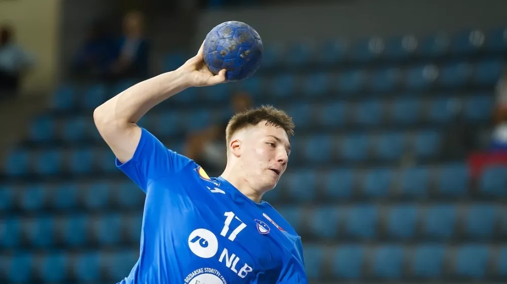 Alju&scaron; Anžič, rokomet