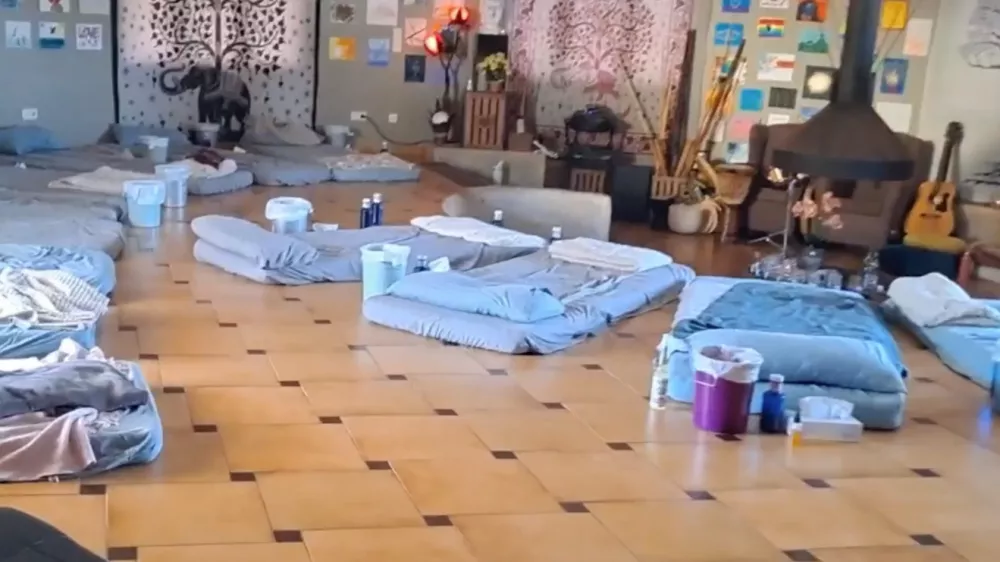 Seanse z ajahuasko, &Scaron;panija. Duhovno potovanje.san pedro, wachuma, ayahuasca, psihoaktivne snovi